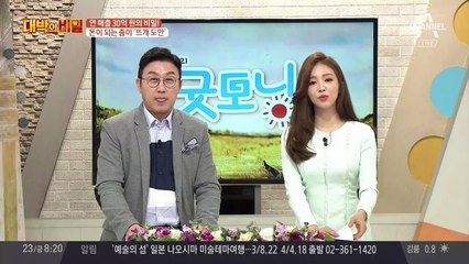 뜨개 갑부의 돈이 되는 종이, '뜨개 도안'
