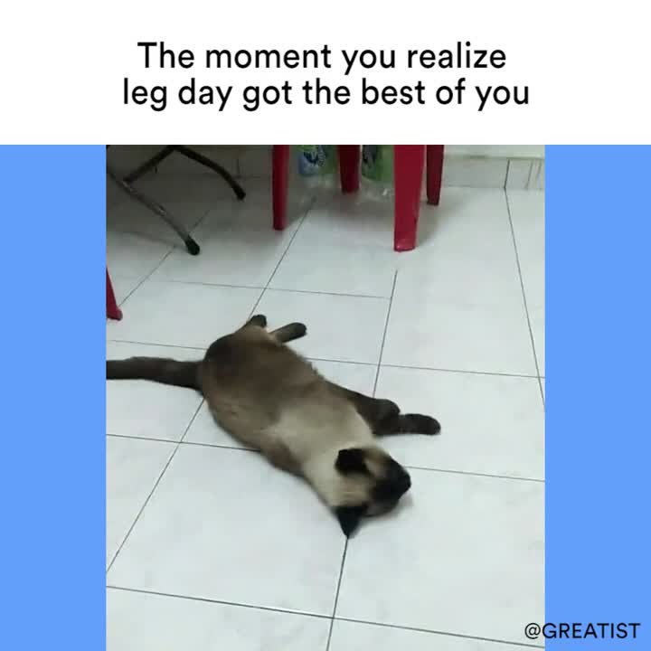 Leg Day