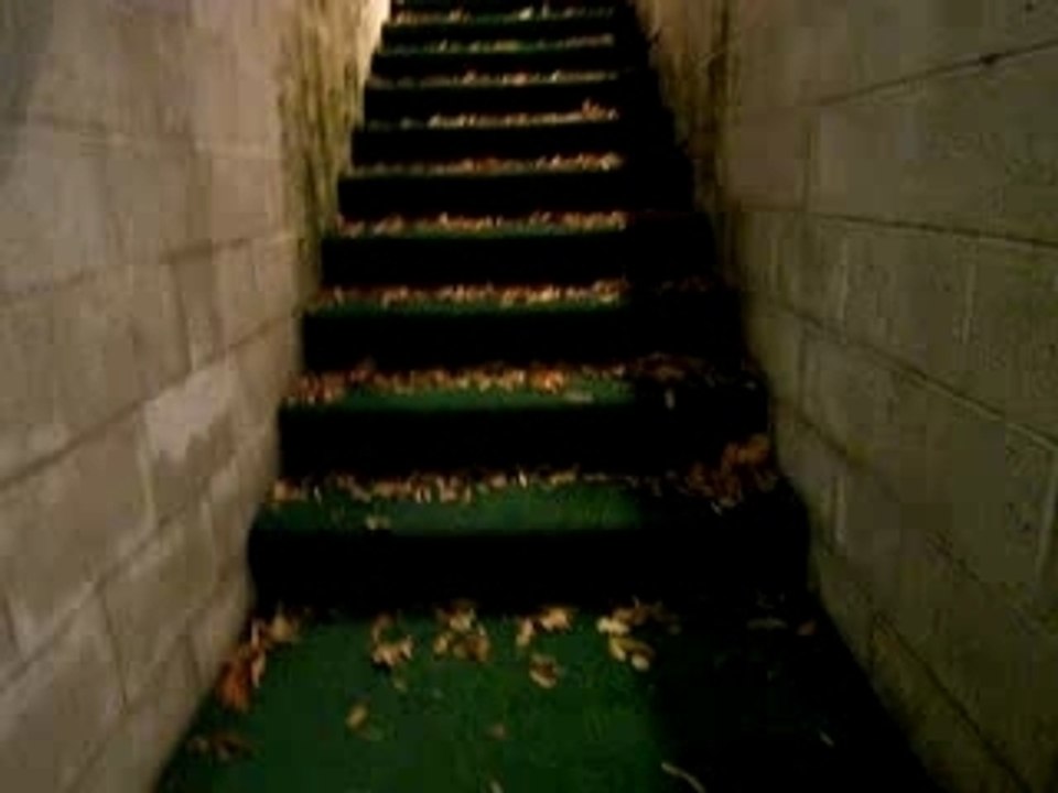 Boots The Jug Running Up The Basement Steps