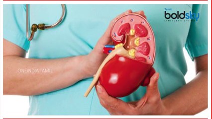 இந்த பழக்கங்களை மாற்றாவிட்டால், உங்கள் சிறுநீரகம் அவ்வளவு தான்...வீடியோ