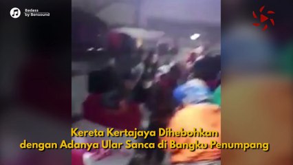 Heboh Ular Sanca Sepanjang Tiga Meter Ada di Kereta Api Kertajaya