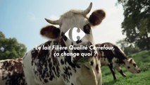 Le lait Filière Qualité Carrefour, ça change quoi ? Carrefour, meilleur chaque jour (pub TV 2017)