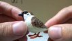 雀と文鳥コレクション 【ガチャ】 /  Sparrow and Java finch collection 【japanese  capsule toy】