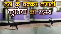 Mumbai के Kanjurmarg Station पर किसका इंतजार करती है ये कुतिया, Watch Video | वनइंडिया हिंदी