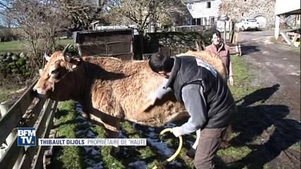 Découvrez Haute, la star du Salon de l’Agriculture