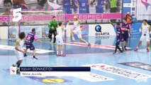 LIDL STARLIGUE 17-18 Top Arrêts J15