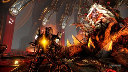 Warframe Lenz Critical Build