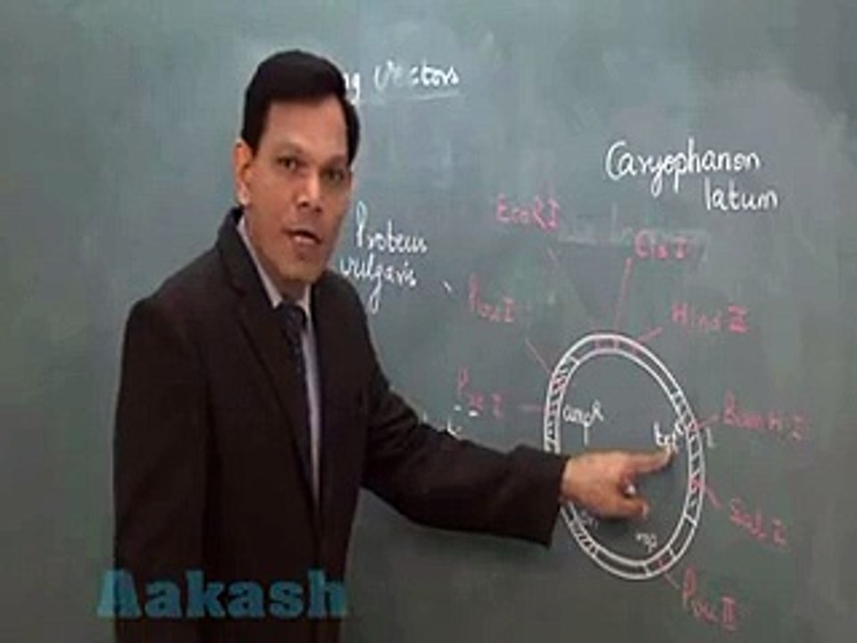 principal4Study on Aakash iTutor