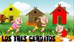 Los tres cerditos cuento infantil en español
