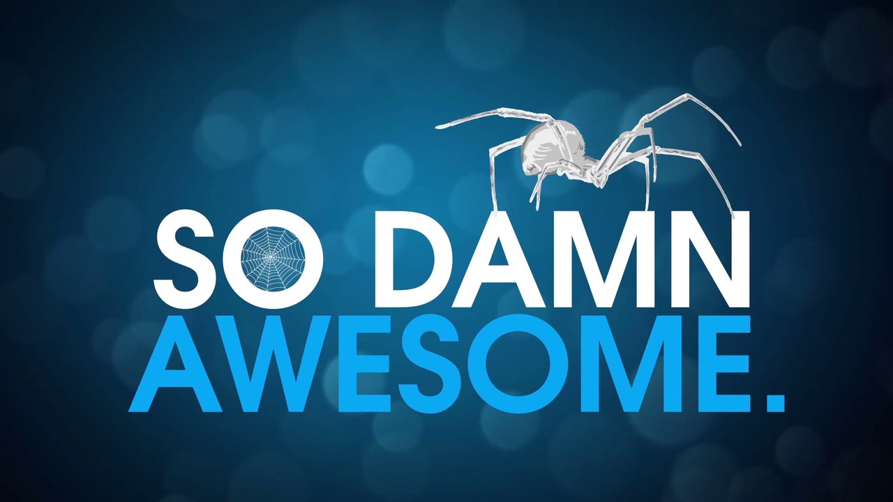 Spiders Are Awesome
