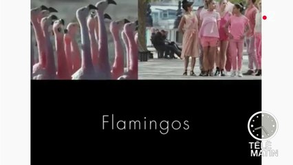 Une publicité pleine de poésie