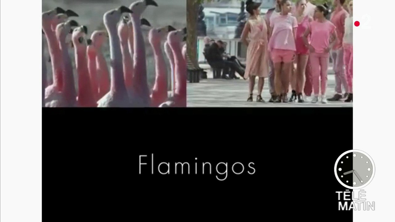 Une publicité pleine de poésie