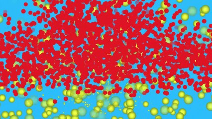 Where Does Lost Weight Go?