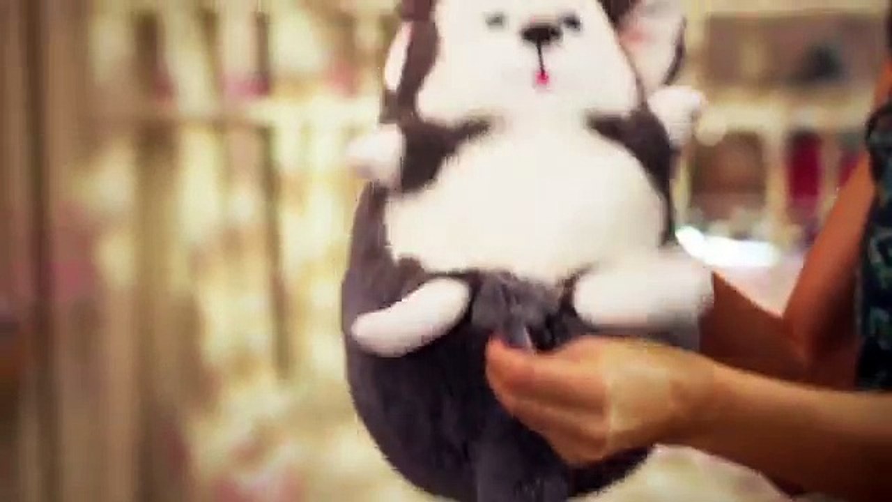 Toys''R''Us présente Les Cali Pet's