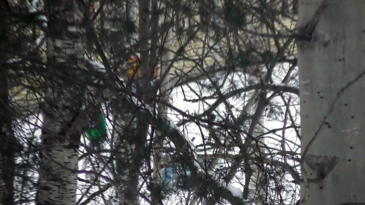 Feb 23 2018 DL6