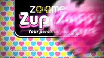 Toys''R''Us présente les Zoomer Zuppies Cupcake & Glam