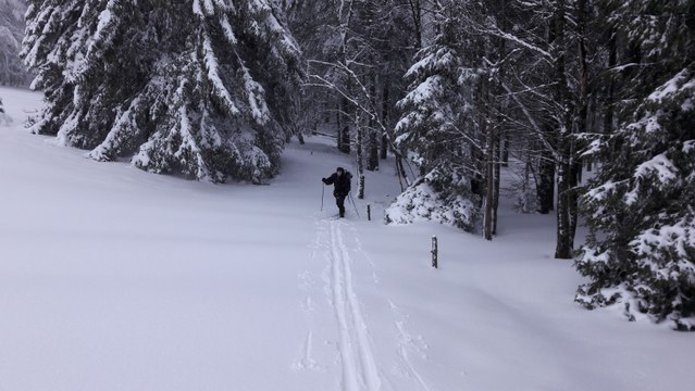 Ski de randonnée nordique dans les Hautes Vosges
