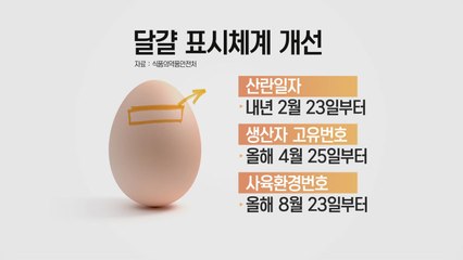내년부터 달걀 껍질에 알 낳은 날짜도 표시 / YTN