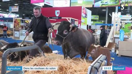 Agriculture : dans les coulisses du salon