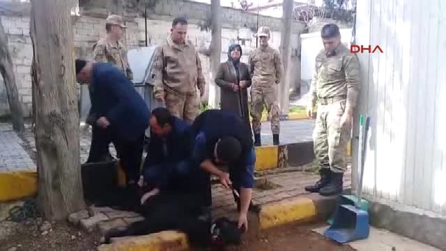 Kahramanmaraş Şehit Babası, Mehmetçik İçin Sınırda Kurban Kesti