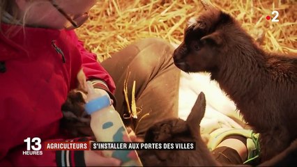 Tendance : les agriculteurs s'installent aux portes des villes