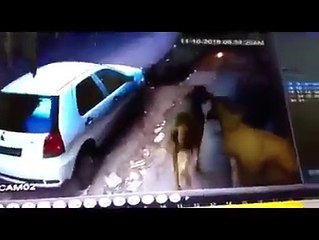 Car Theft  Caught on Camera