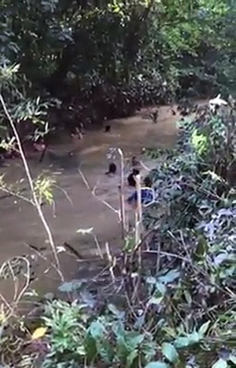 Amzin fish hunting