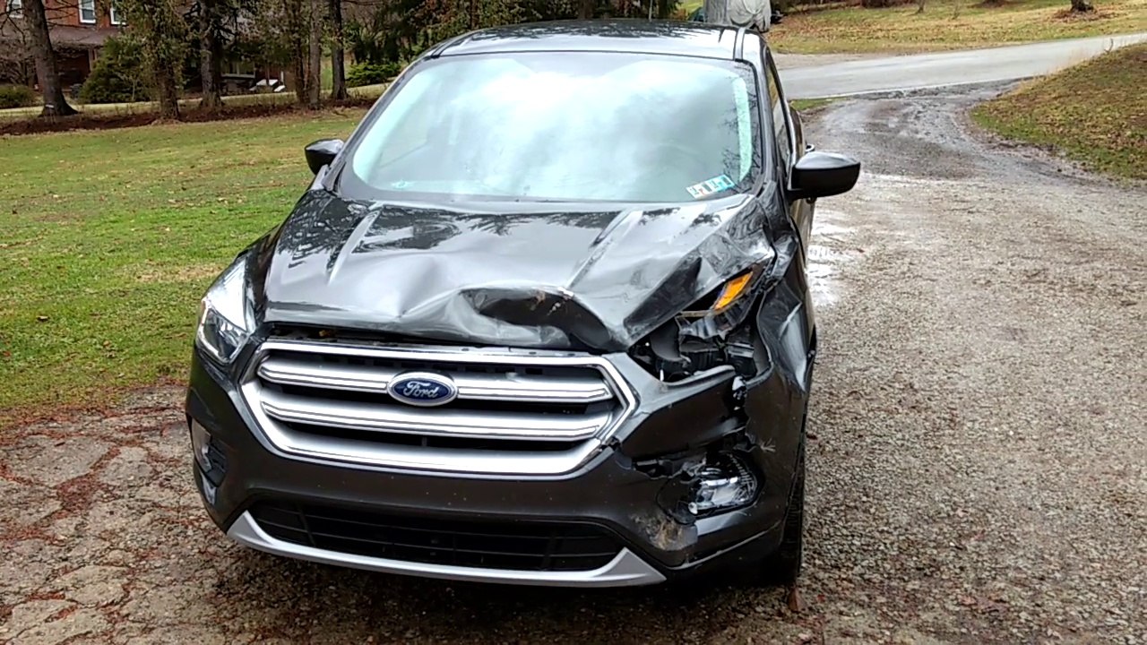 The Car Hit 2 Deer