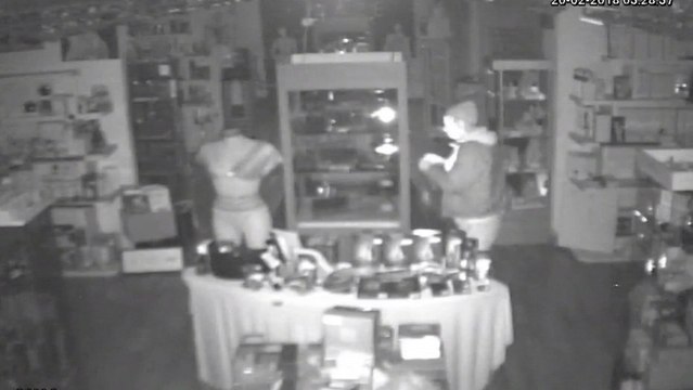 Roban juguetes eróticos de oro por valor de 20.000 euros en Barcelona