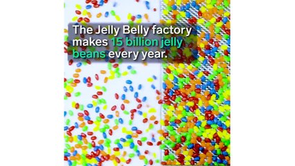How Jelly Beans Are Made