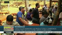 teleSUR noticias. Continúa cronograma electoral en Venezuela