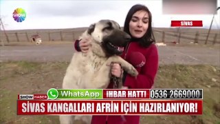 Show TV muhabirinin kangalla zor anları