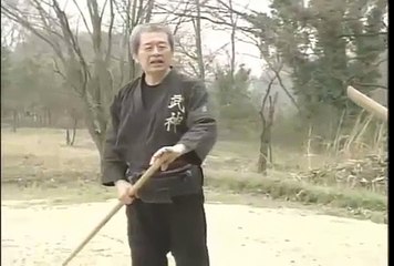 Masaaki Hatsumi Bojutsu