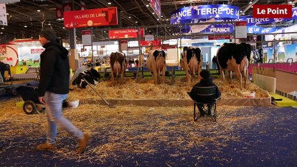 L'amour est dans l'étable au salon de l'agriculture