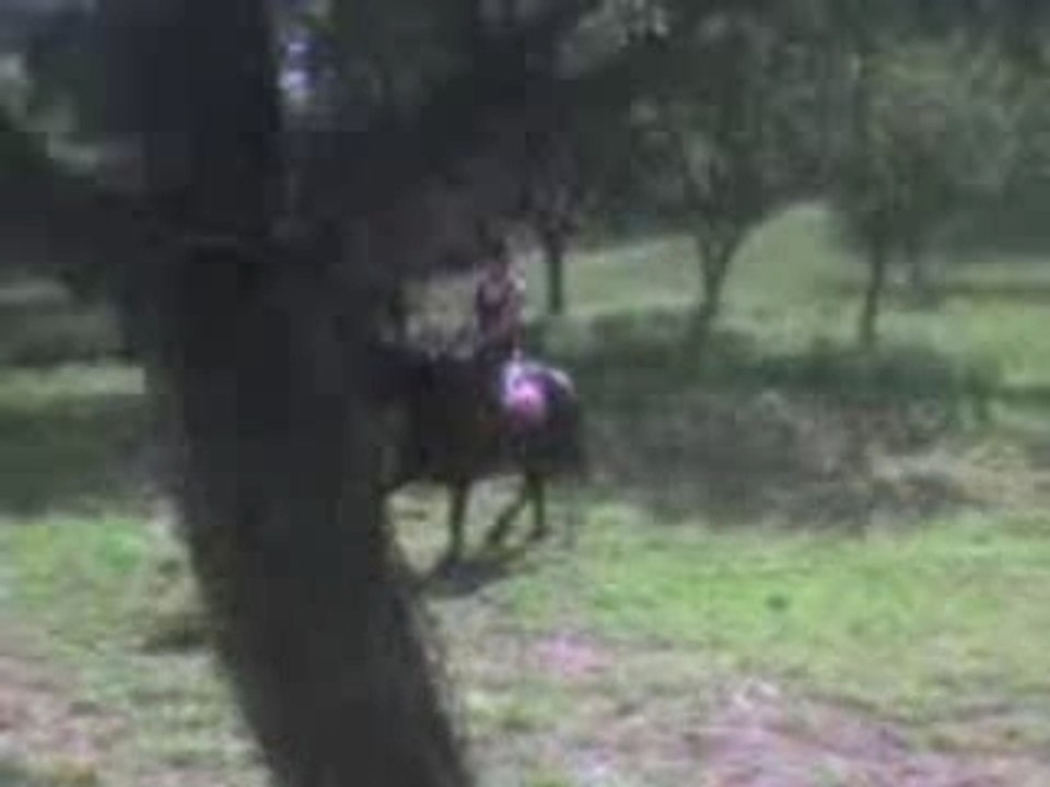 Cams qi sote sur kéké