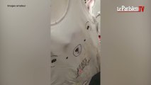 Des souris dans des vêtements pour bébés chez Carrefour