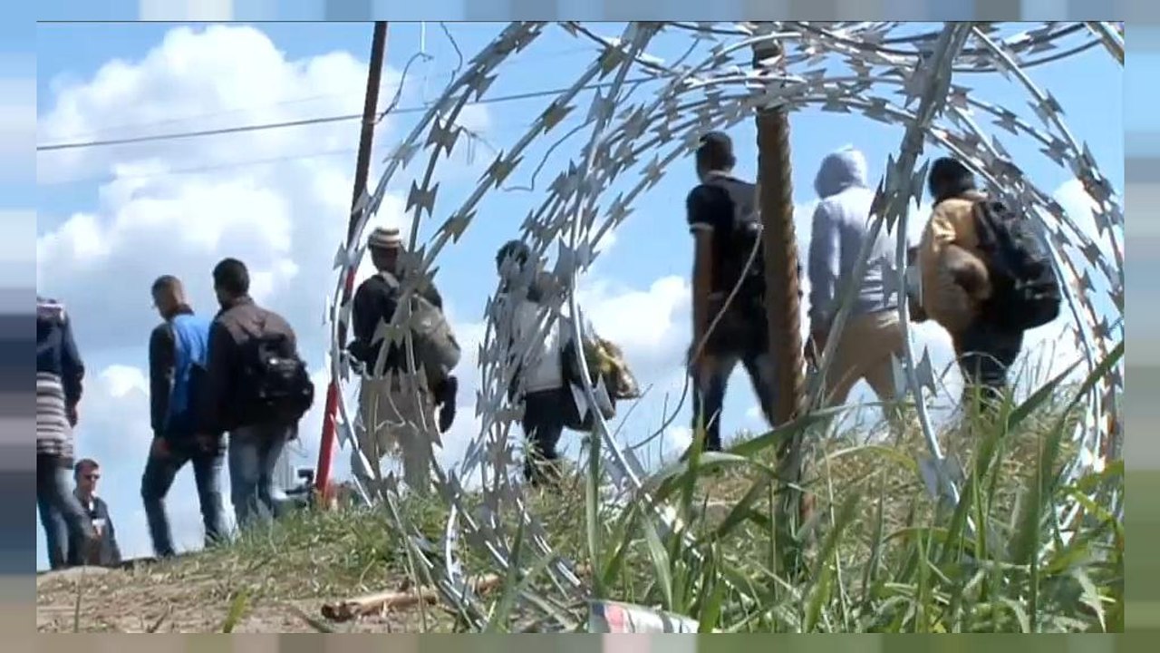 Orban: "L'Europa ci rimborsi il muro. Sui migranti la stiamo aiutando"