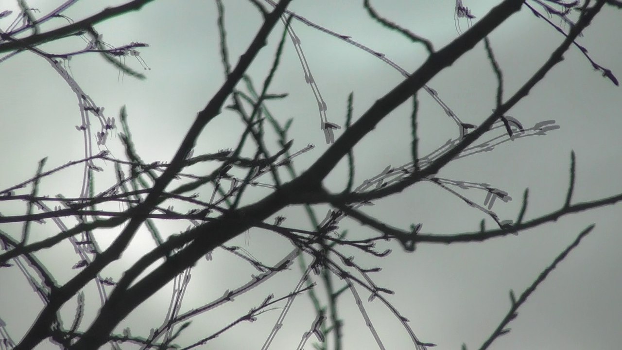 Feb 23 2018 DL12