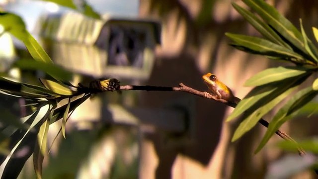 Garden Party : le court-métrage de six étudiants arlésiens nominé aux Oscars