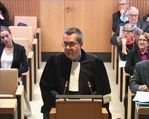 Affaire n° 2016-599 QPC