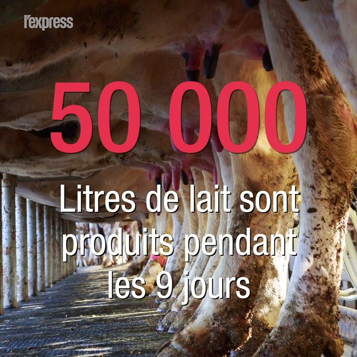 Salon de l'Agriculture: ces chiffres que vous ignorez