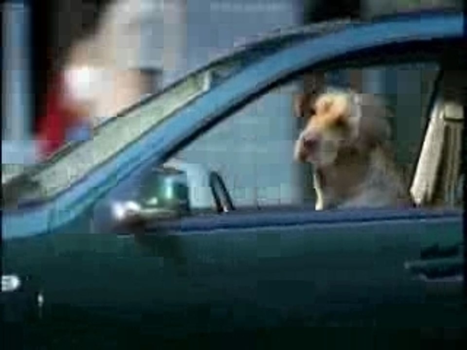 Pub heineken 2005