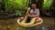 Il trouve un énorme anaconda, se jette dessus et le capture sans hésiter