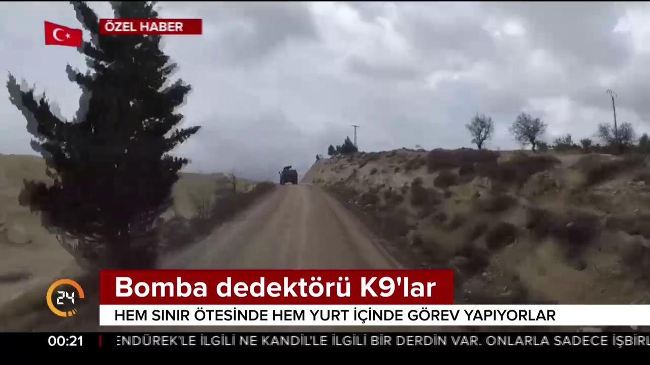 K-9 Köpekleri