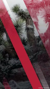 Snow is falling across the Las Vegas Valley