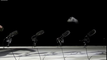 El silencio se abriga con plumas