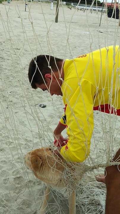 Freeing Dogs Stuck in Net