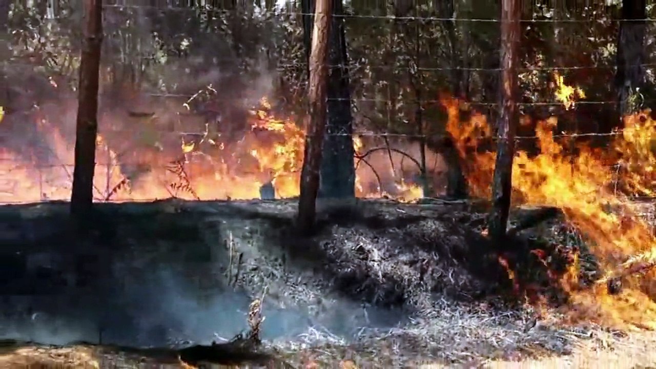 Cuerpo de bomberos se prepara para combatir incendios en verano