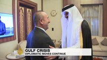 Qatar-GCC: France's Macron pushes for solution to crisis
