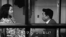 인류학